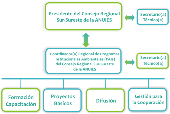 Estructura orgánica.